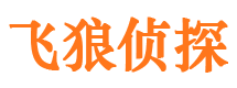 惠城市私家侦探